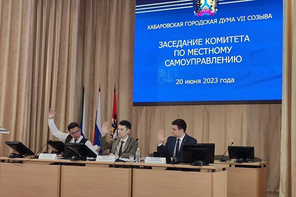 Заседание комитета по местному самоуправлению Хабаровской городской Думы