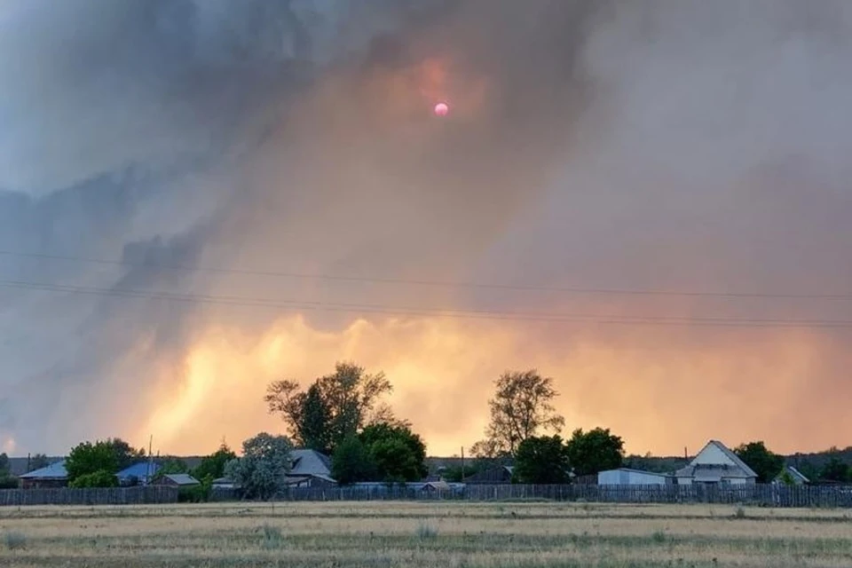 Огонь прошел уже почти шесть тысяч гектаров. Фото: ЛХК «Алтайлес»