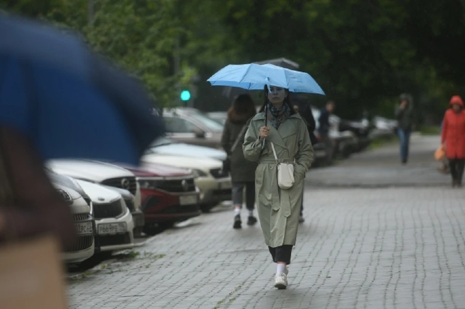 До следующей недели в Новосибирске будет прохладно.