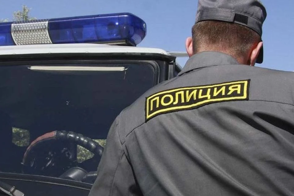 Собаку поймали полицейские