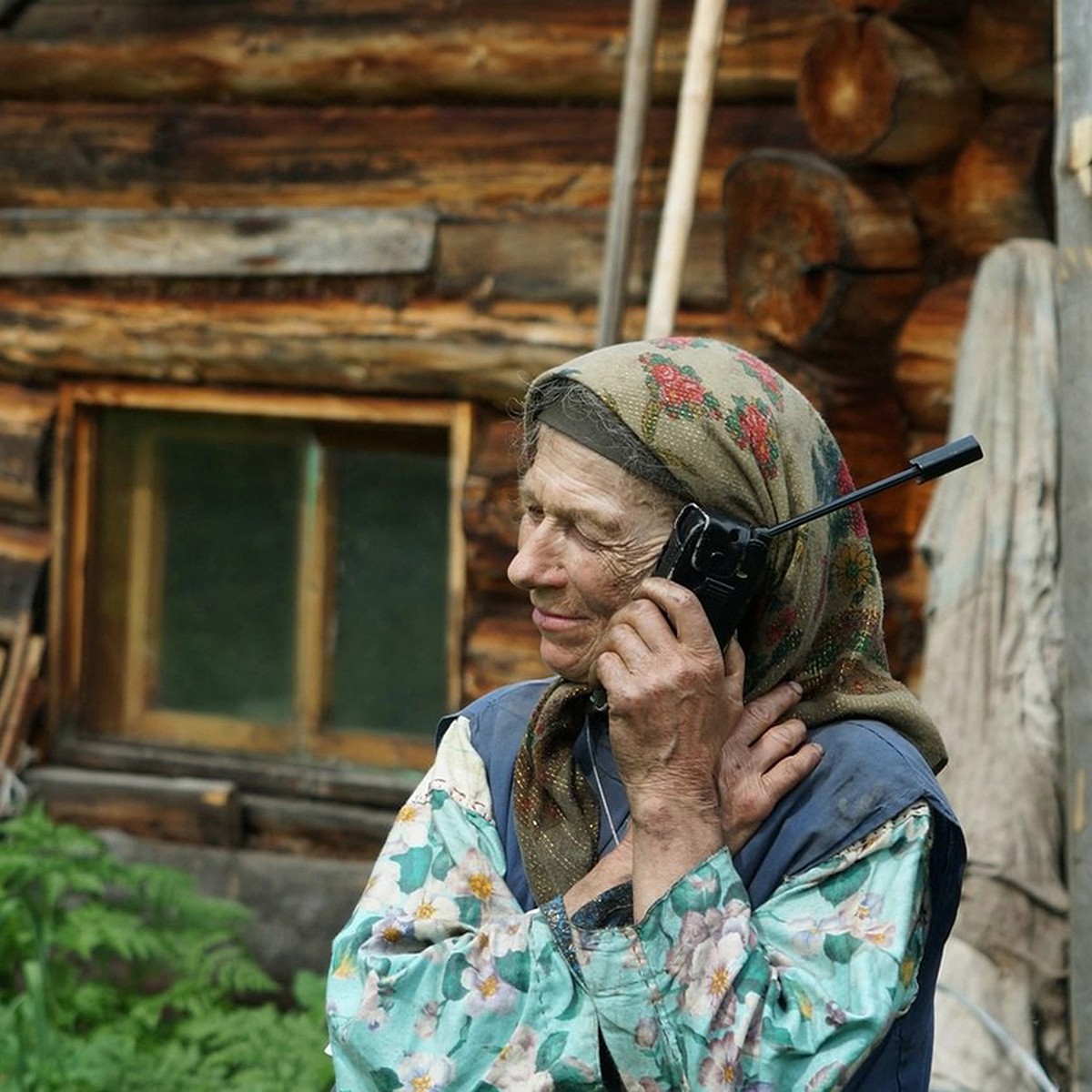 Рядом бродит раненый марал. Вот он его и пасет»: к домику отшельницы Агафьи  Лыковой подкрался голодный медведь - KP.RU