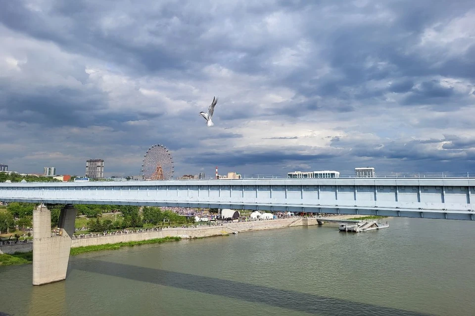 План мост через обь в новосибирске план