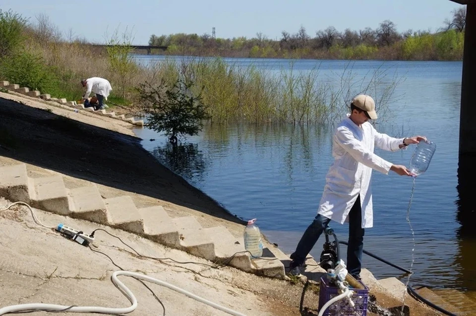 Воду на Северо-Крымском канале проверяют еженедельно. Фото: Институт биологии южных морей имени А.О Ковалевского РАН