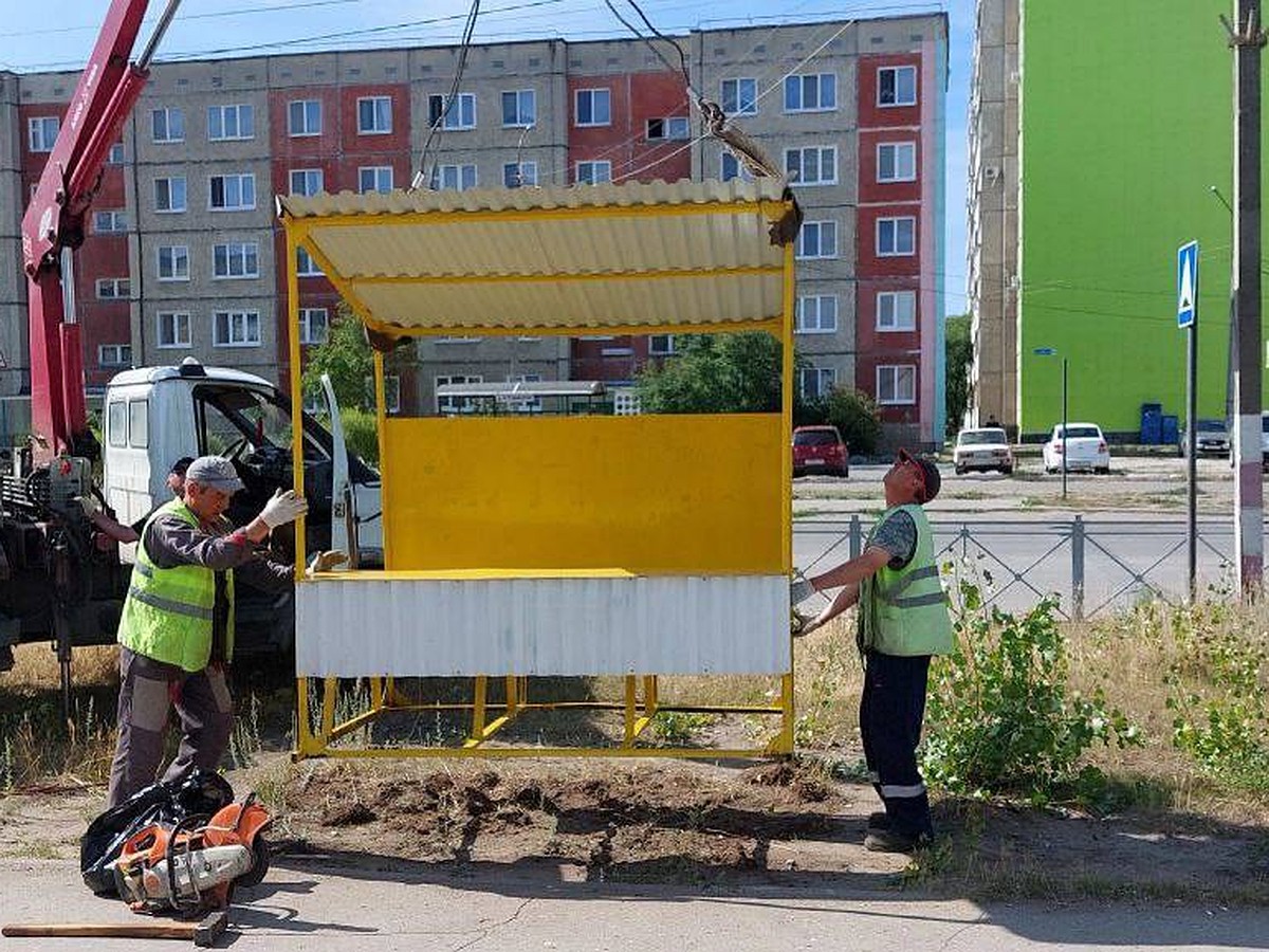 В Димитровграде в районе «Олимп» вновь откроют мини-рынок для дачников -  KP.RU