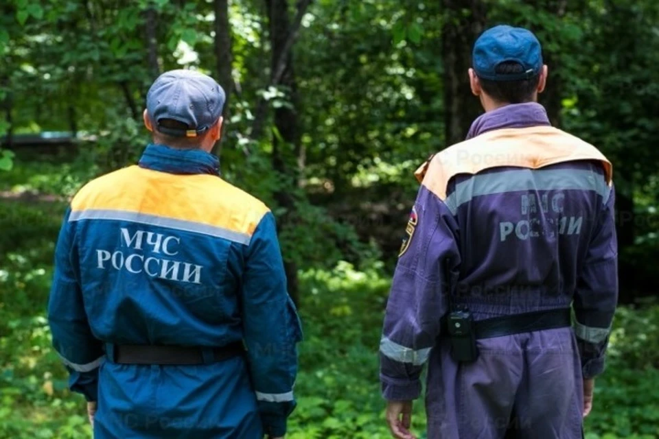 Пропавшего мужчину вытащили из леса спасатели в ЕАО Фото: МЧС ЕАО