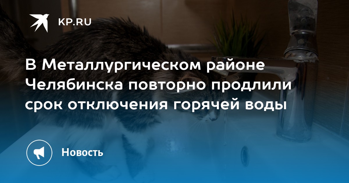 Купить Кошку В Челябинске В Металлургическом Районе