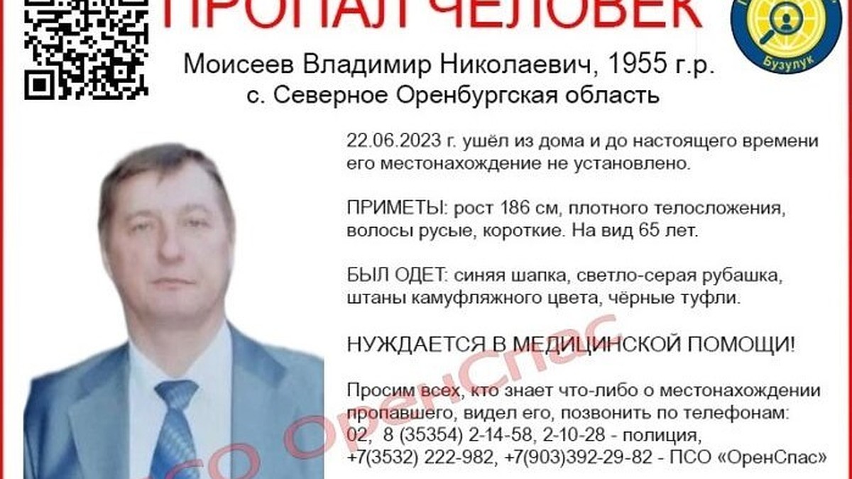 В Оренбуржье пройдет массовый поиск без вести пропавшего Владимира Моисеева  - KP.RU