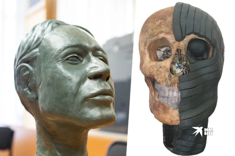 «Имел положение в обществе»: студентка восстановила внешность мужчины, похороненного в центре Екатеринбурга 200 лет назад
