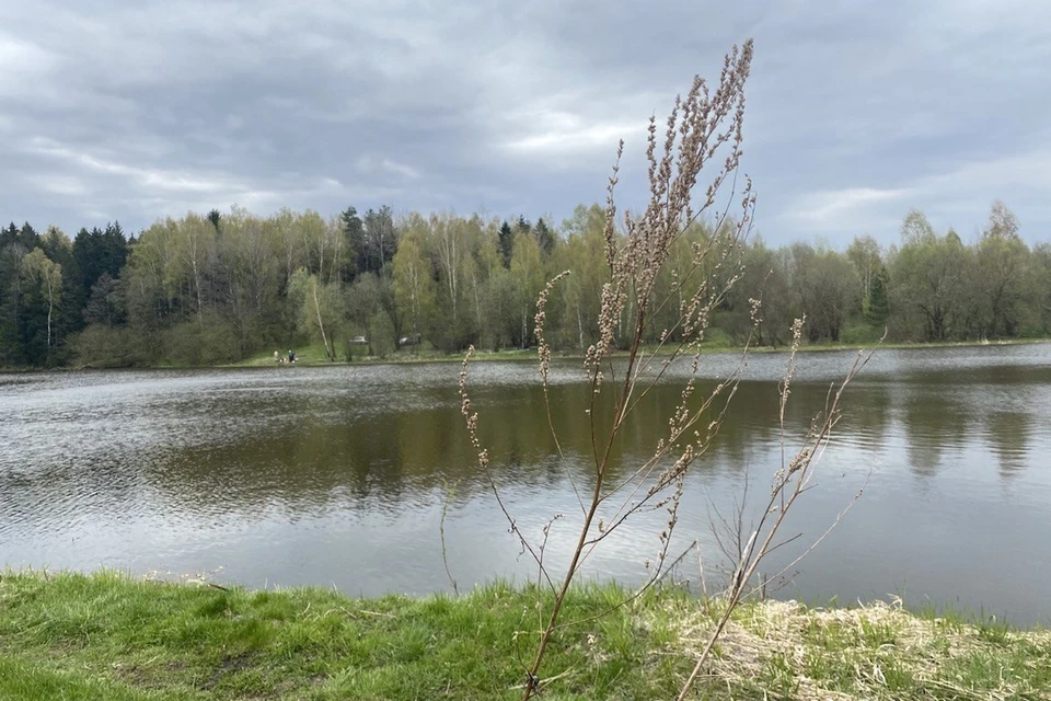 Под Браславом трое пьяных мужчин перевернулись на лодке, один утонул. Снимок используется в качестве иллюстрации. Фото: архив «КП»