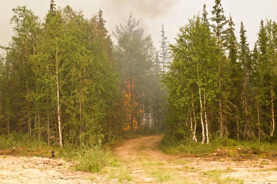 Фото: МЧС России по ЯНАО