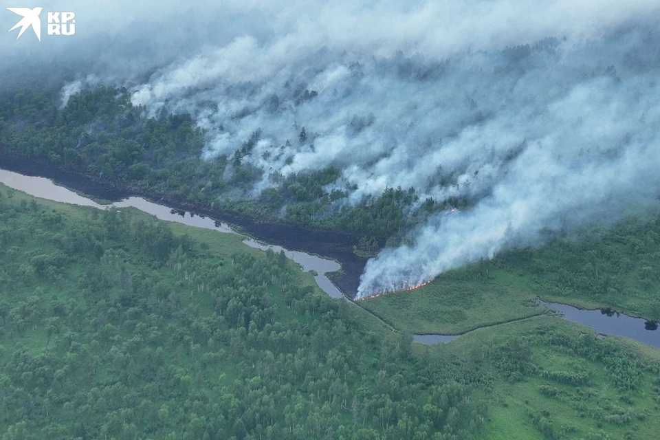 Пожар бушует в заповеднике Приамурья. Фото: Тимофей Мудрак, Норский заповедник