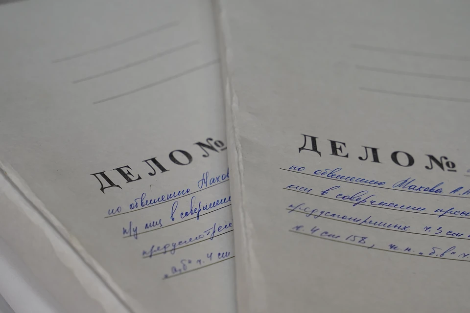 Возбуждено два уголовных дела.