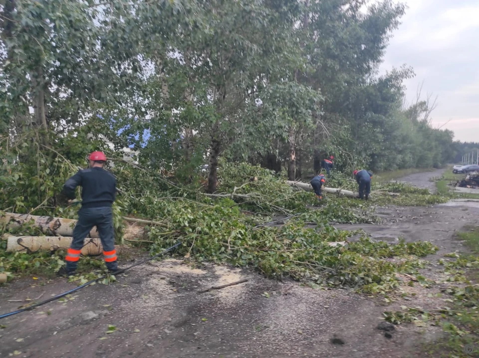 Спасатели и дорожные службы убирают деревья
