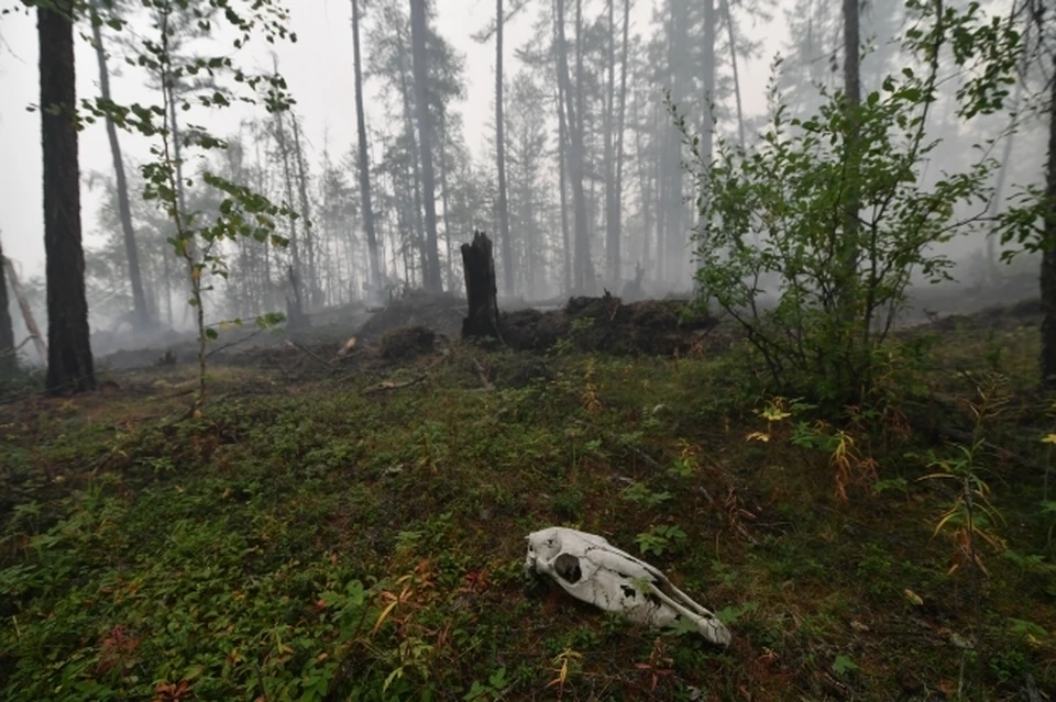 Фото: Иван МАКЕЕВ