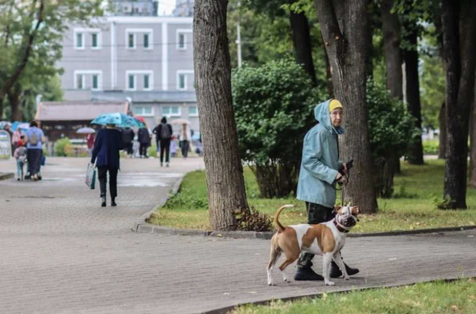 Температура воздуха в Смоленской области поднимется до +29.