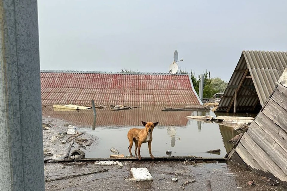 20 населенных пунктов Херсонщины уже освободились от воды Фото: ТГ Евгений Кузьмин