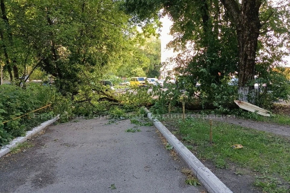 Фото: пресс-служба Брянской городской администрации.