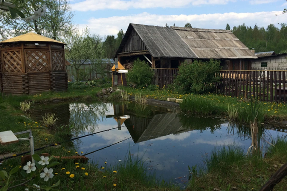 Под Полоцком задержали дачника, который выращивал марихуану. Фото носит иллюстративный характер.