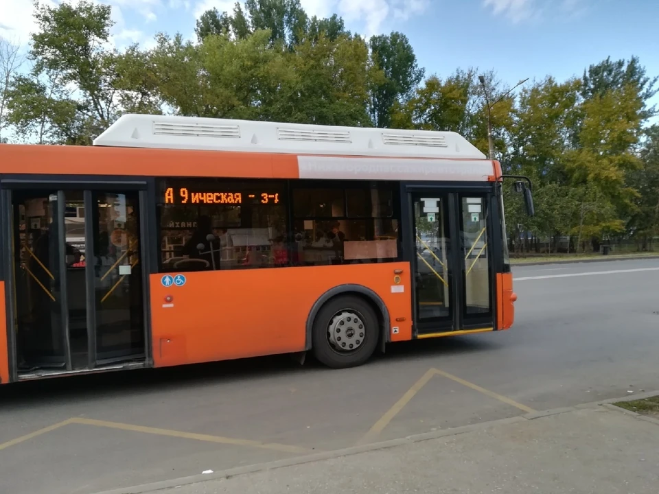 Автобус.