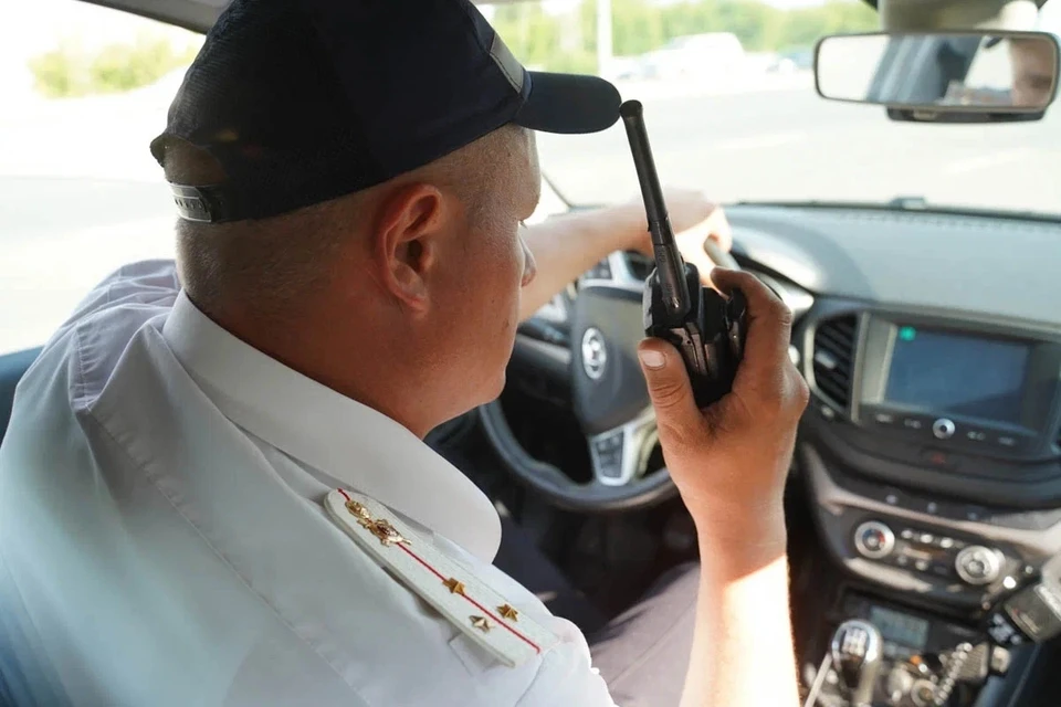 Полицейские задержали злоумышленника