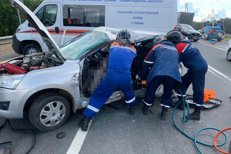 Водитель иномарки пострадал от столкновения с пассажирским автобусом на трассе под Петербургом. Фото: пресс-служба аварийно-спасательной службы Ленобласти