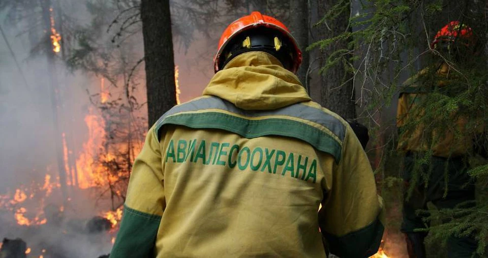 Фото: Авиалесоохрана