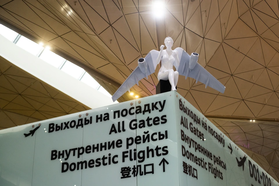 Аэропорт «Пулково» будет работать в усиленном режиме в дни саммита «Россия-Африка».