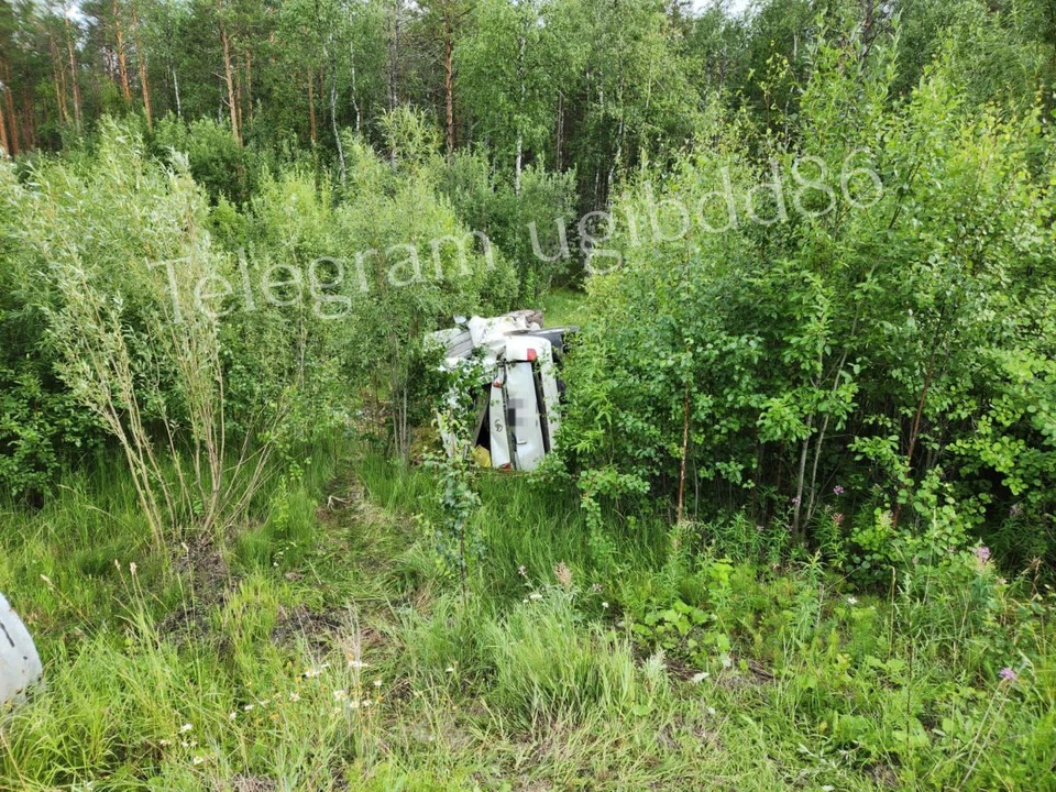Фото: Госавтоинспекция Югры