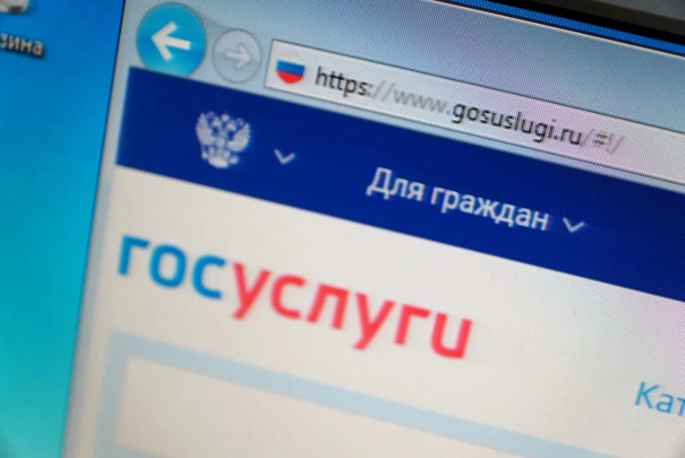 Портал «Госуслуги» запустил функцию оплаты налогов для физлиц