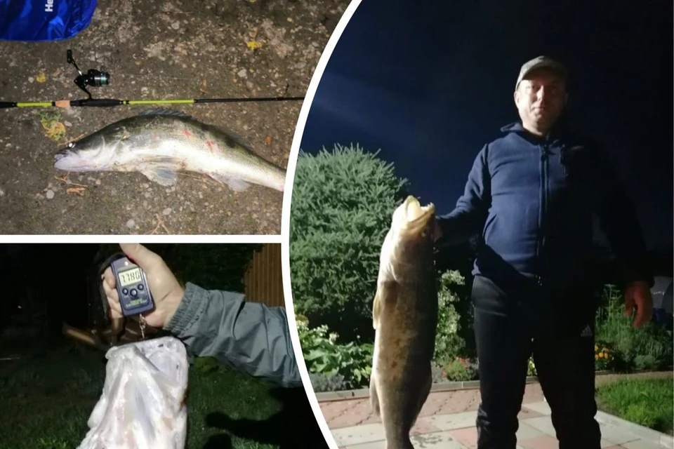 С огромным судаком пришлось повозиться. Фото: evgshherbina / https://www.fishingsib.ru/