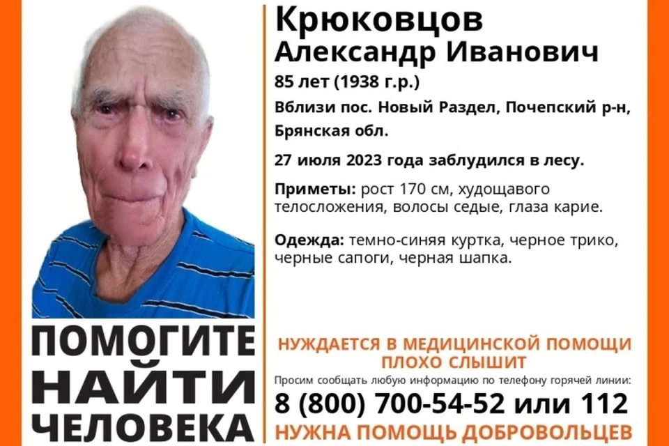 Фото: поисковый отряд "Лиза Алерт".