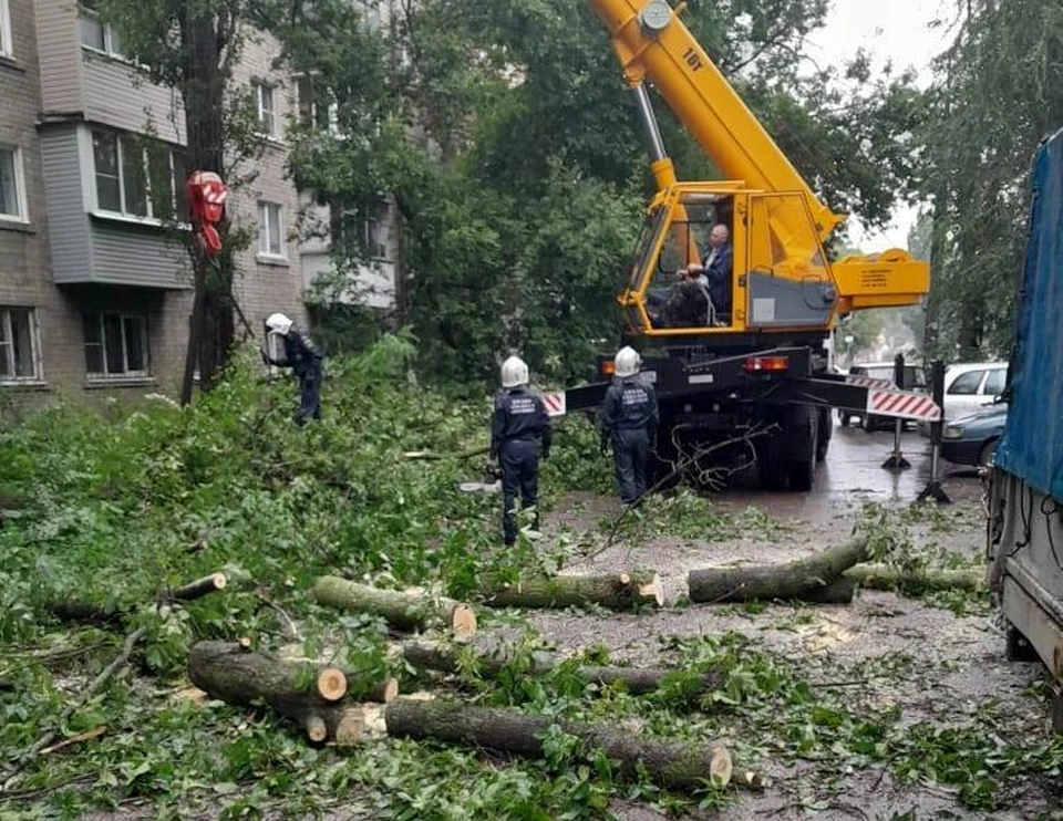 Фото мэрии Воронежа