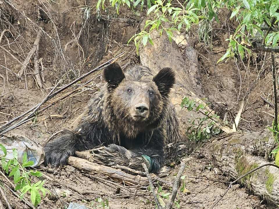 Фото: клуб «Бумеранг»