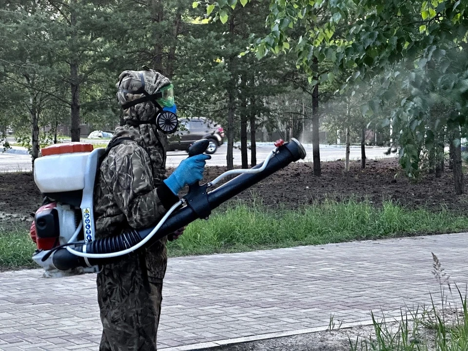 Фото: Елена Молдован, соцсети