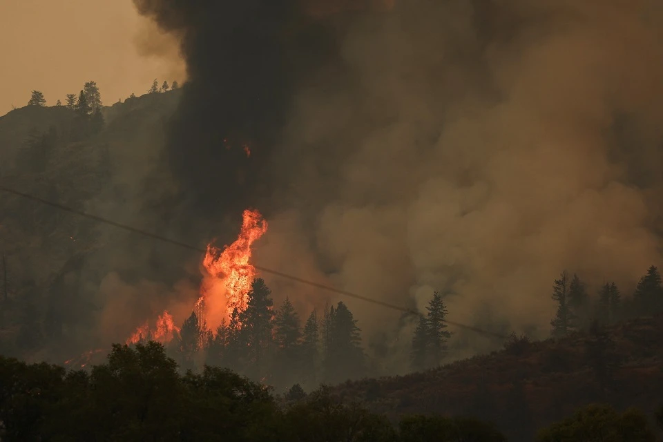 В Каталонии 135 человек эвакуировали из-за лесного пожара