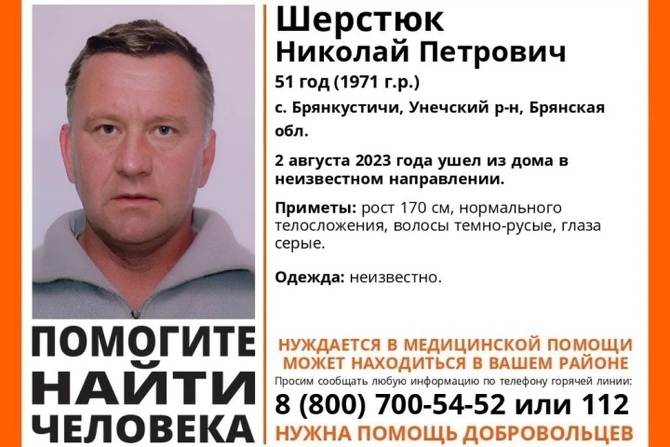 Фото: поисковый отряд "Лиза Алерт".
