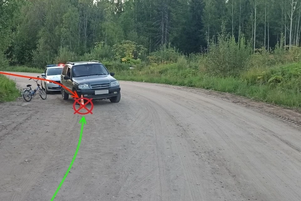Фото: управление ГИБДД по Коми