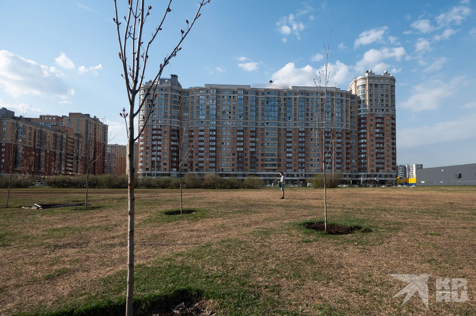 В Рязани частный сектор планируют застроить многоэтажками.