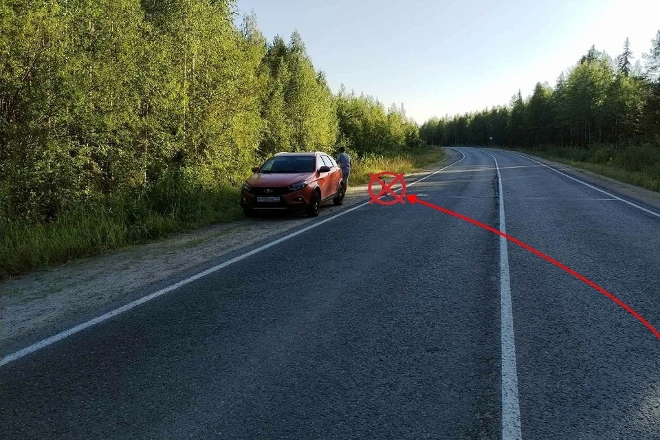 Фото: управление ГИБДД по Коми