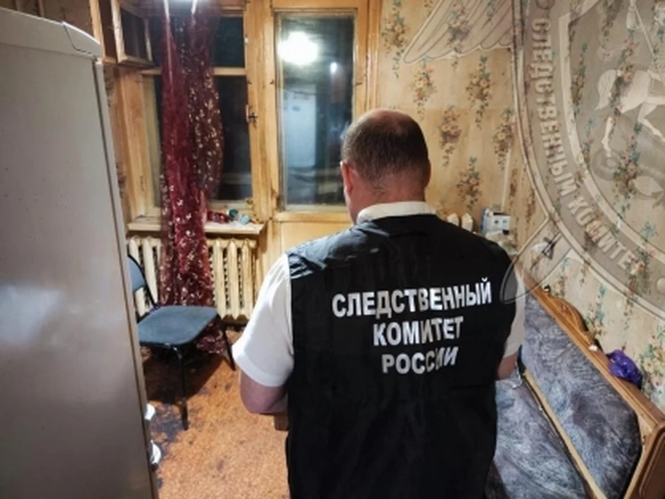 Фото: пресс-служба СУ СК России по Костромской области