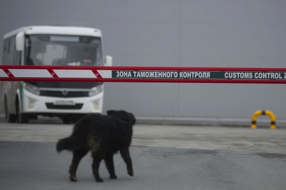 Пункт пропуска «Покровка» закрыли на несколько дней в Хабаровске