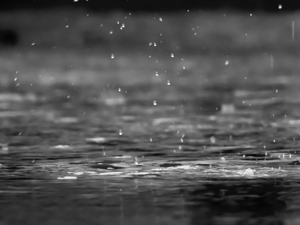 Фото - Unsplash.com