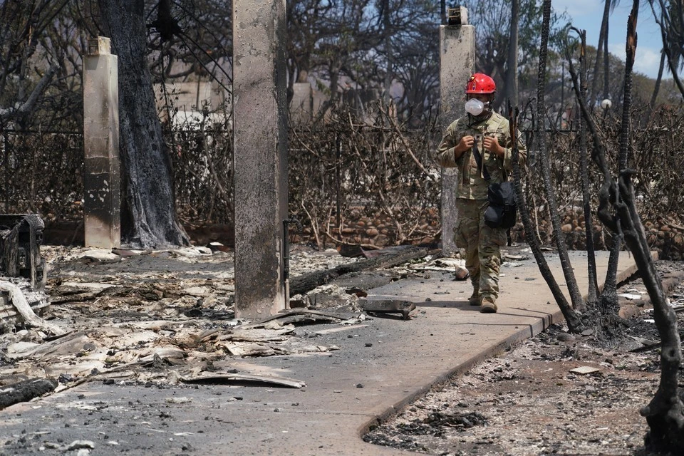 Число жертв лесных пожаров на Гавайях увеличилось до 96