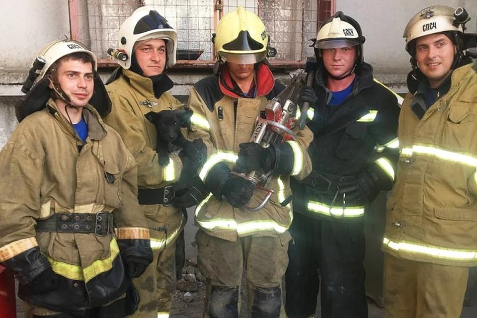 В Луганске спасли щенка из бетонного плена. Фото - ГУ МЧС России по ЛНР