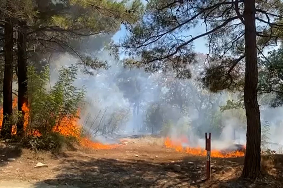 Мощный лесной пожар в Геленджике