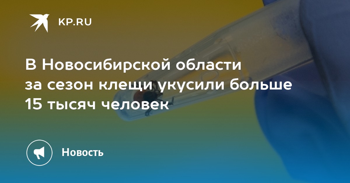 Автомобили в новосибирской области