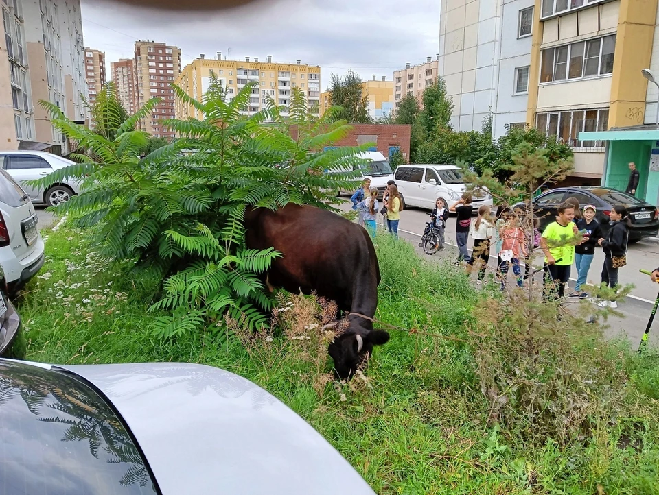 39 старых и новых спектаклей, которые стоит посмотреть в театральной Москве. | COZY MOSCOW