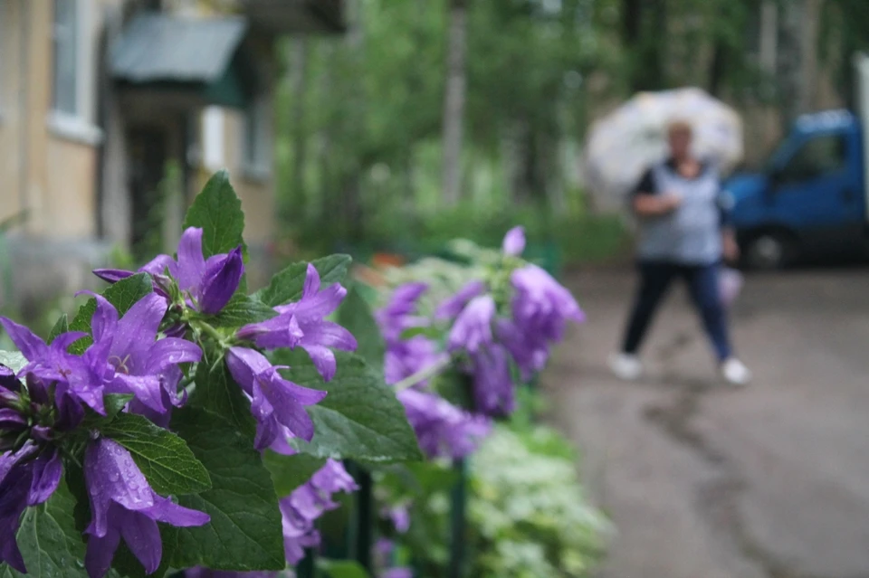 В Коми пришла прохладная погода