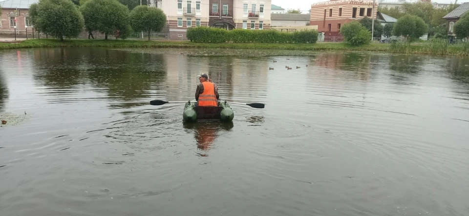 В Шаговском пруду в Костроме будут жить особые водоросли. Фото: МКУ "Чистый город"