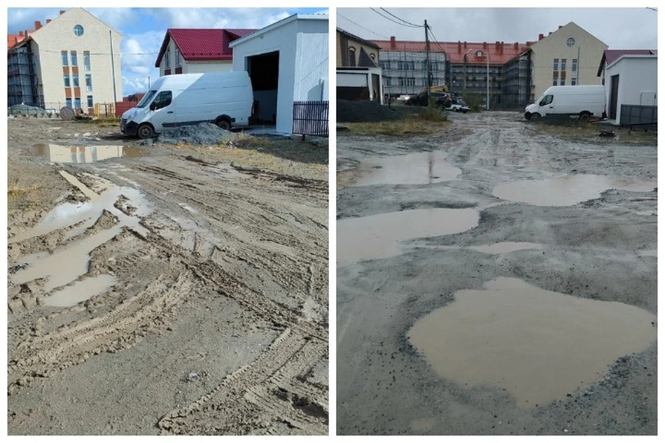 Фото: Наталья Сингаевская